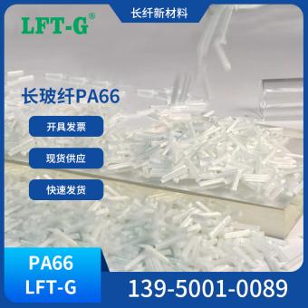 LFT-PA66