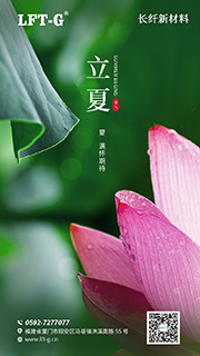 夏日至临，且听风吟。